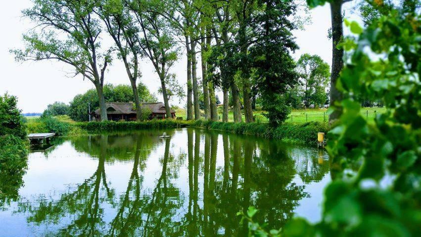 Hotel&Spa Dwor Droblin Leśna Podlaska Esterno foto